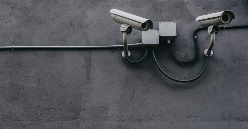Big Data Privacy - Two Gray Bullet Security Cameras